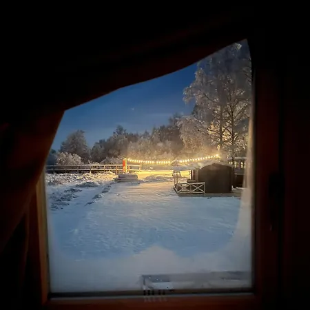 Sadama Iglupark * Oiu